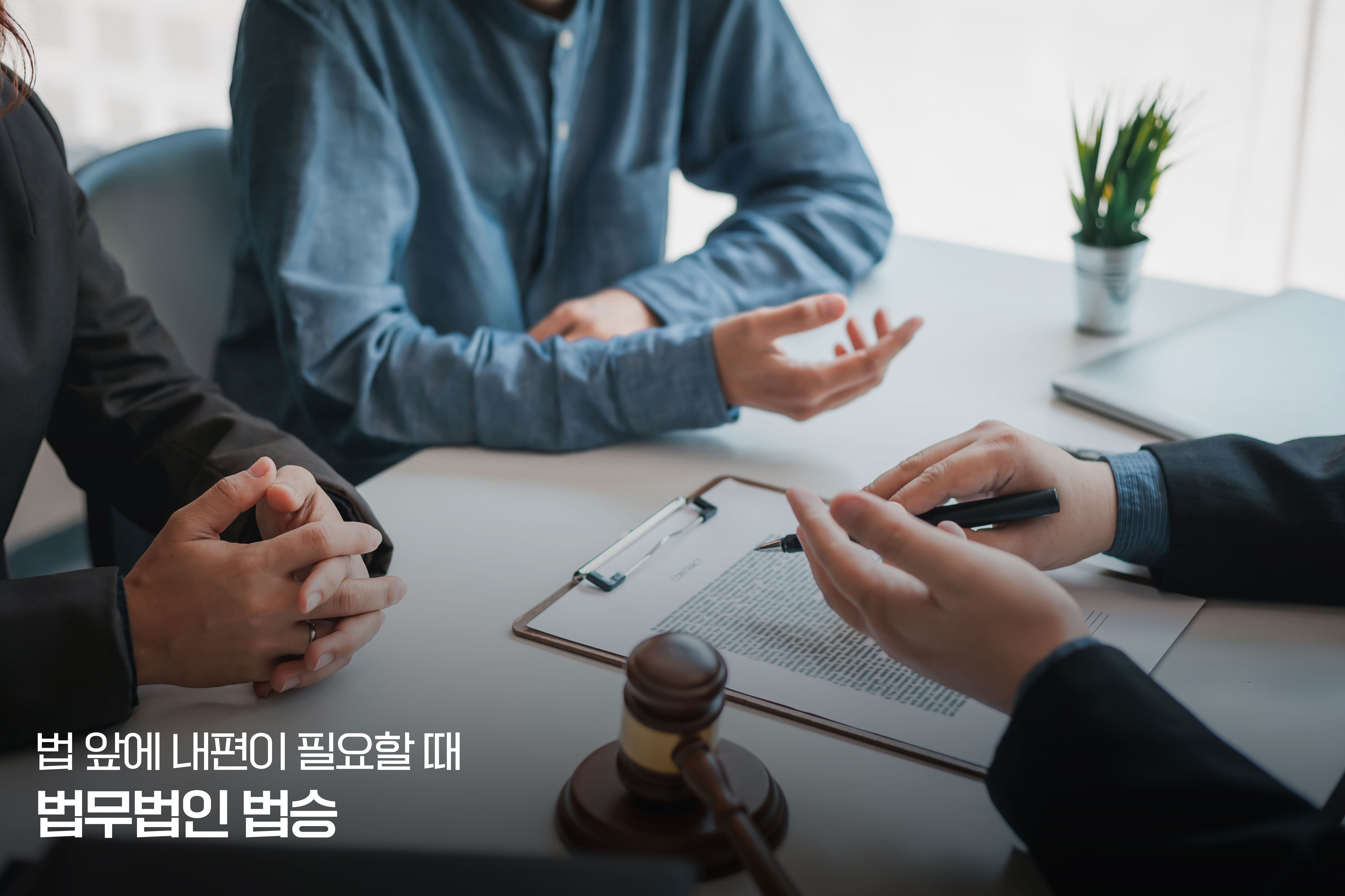 일반회생 절차, 종합 분석 보고서 - (4) 일반회생의 주요 특징 심층 분석 이미지