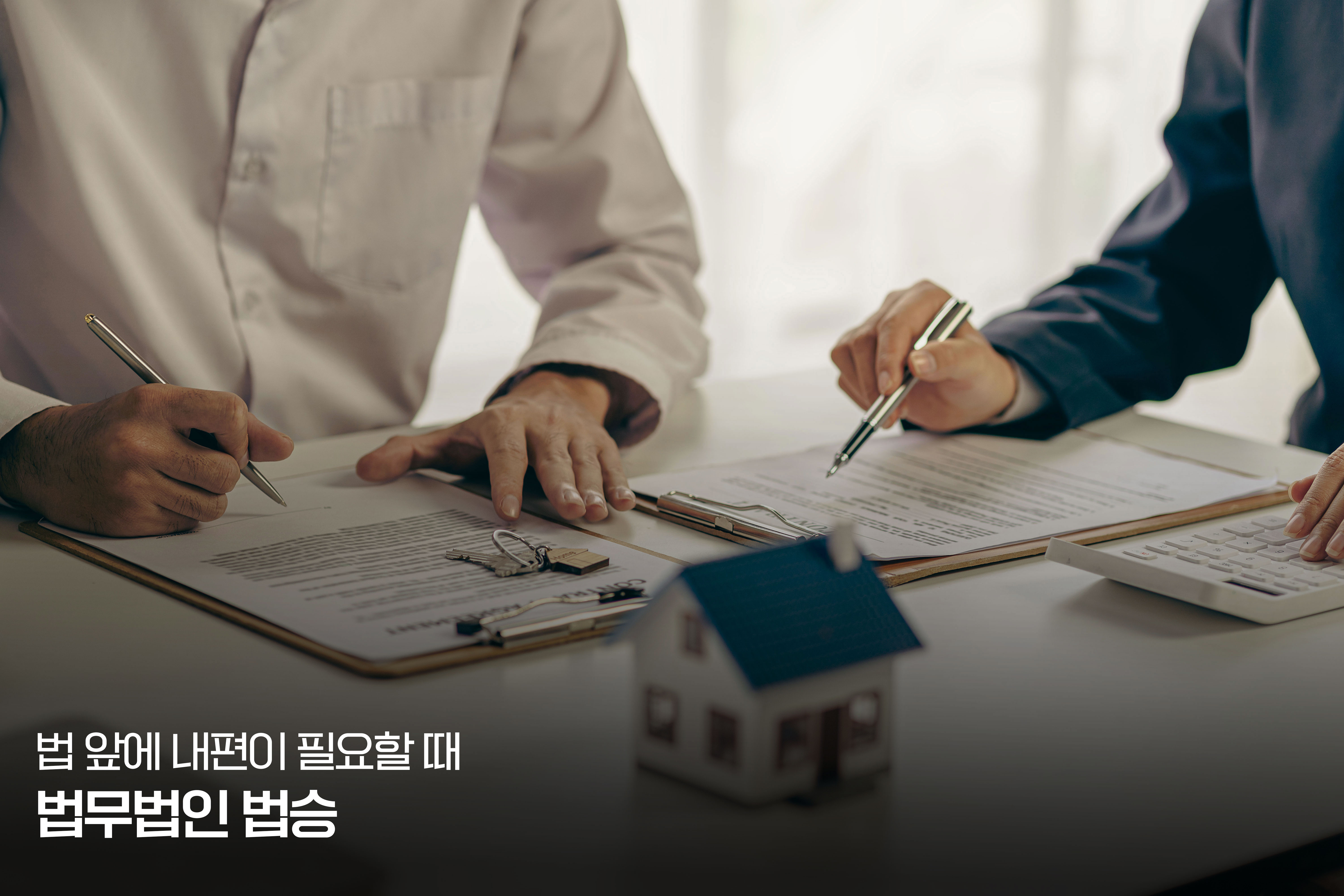 일반회생 절차, 종합 분석 보고서 - (3) 절차적 구조: 법인회생과의 동일성 및 차이점 이미지
