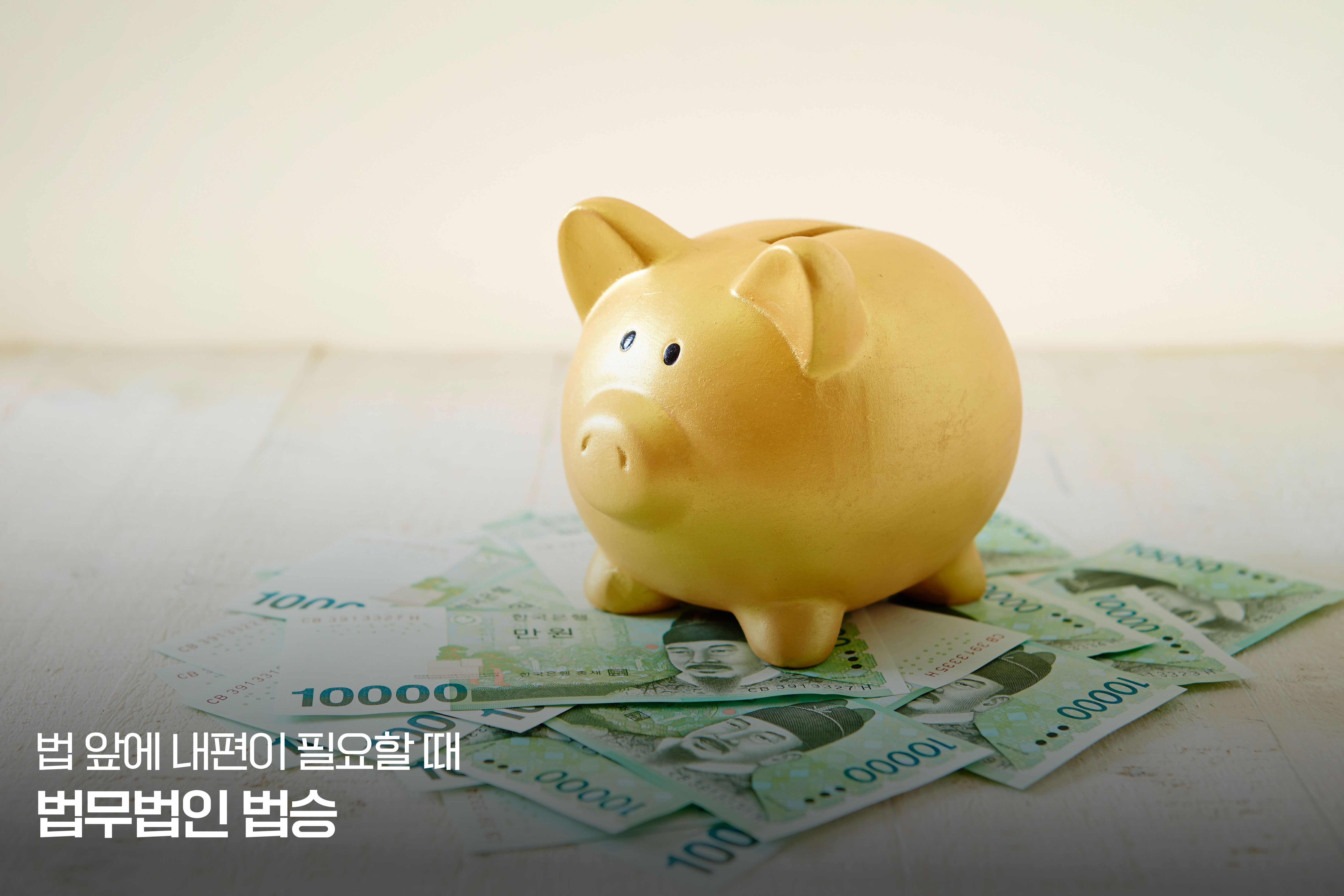 일반회생 절차, 종합 분석 보고서 - (2) 일반회생의 정의와 신청 자격 이미지
