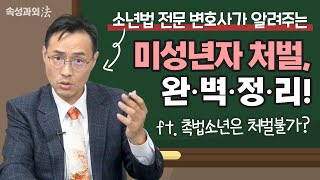 소년범죄변호사가 알려주는 촉법소년 등 미성년자 처벌, 완벽정리! [속성과외法 EP3] 형사전문 이승우 변호사 이미지