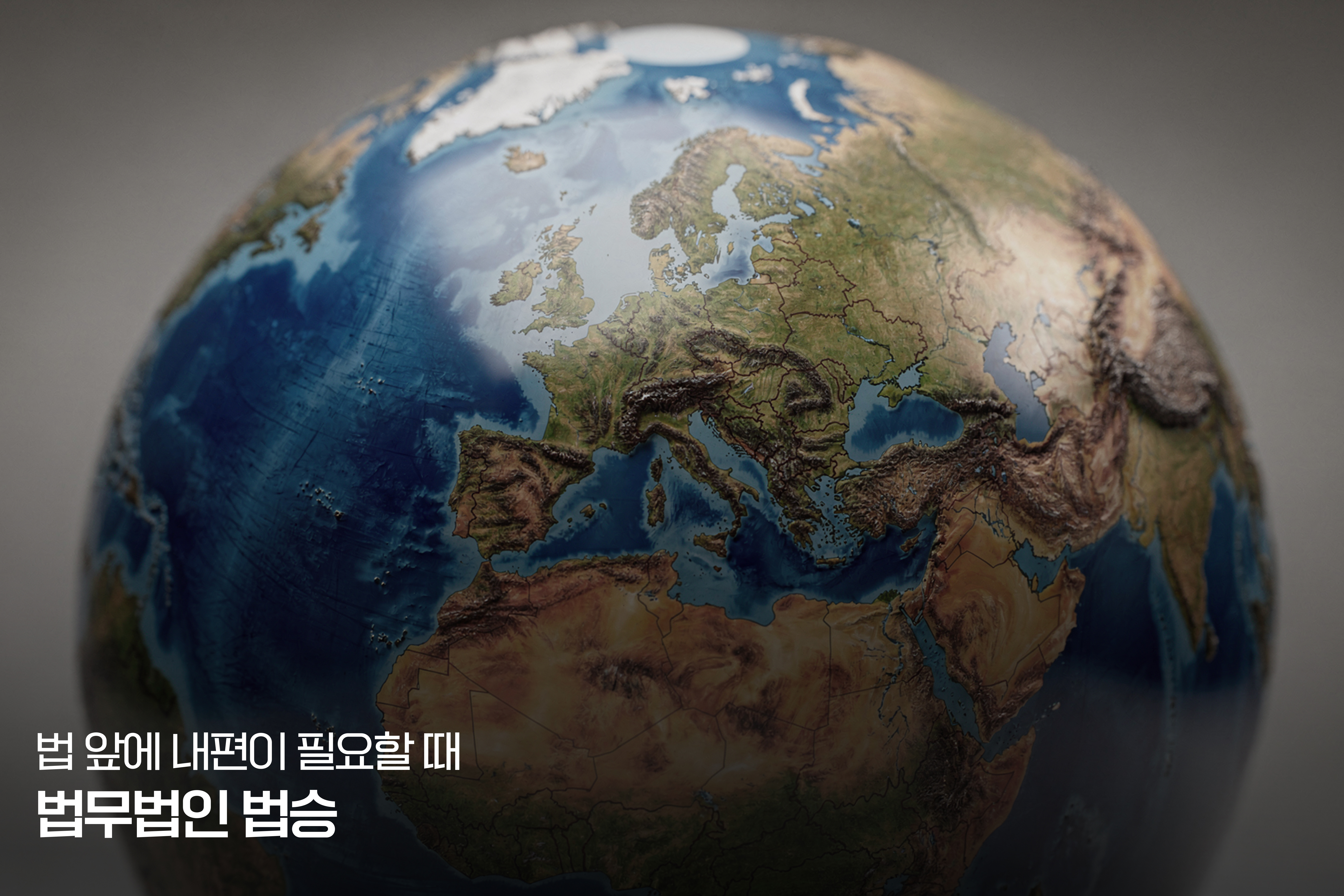 유럽 DSA(디지털 서비스법) 개관, 디지털 리바이어던을 막는 방패 이미지