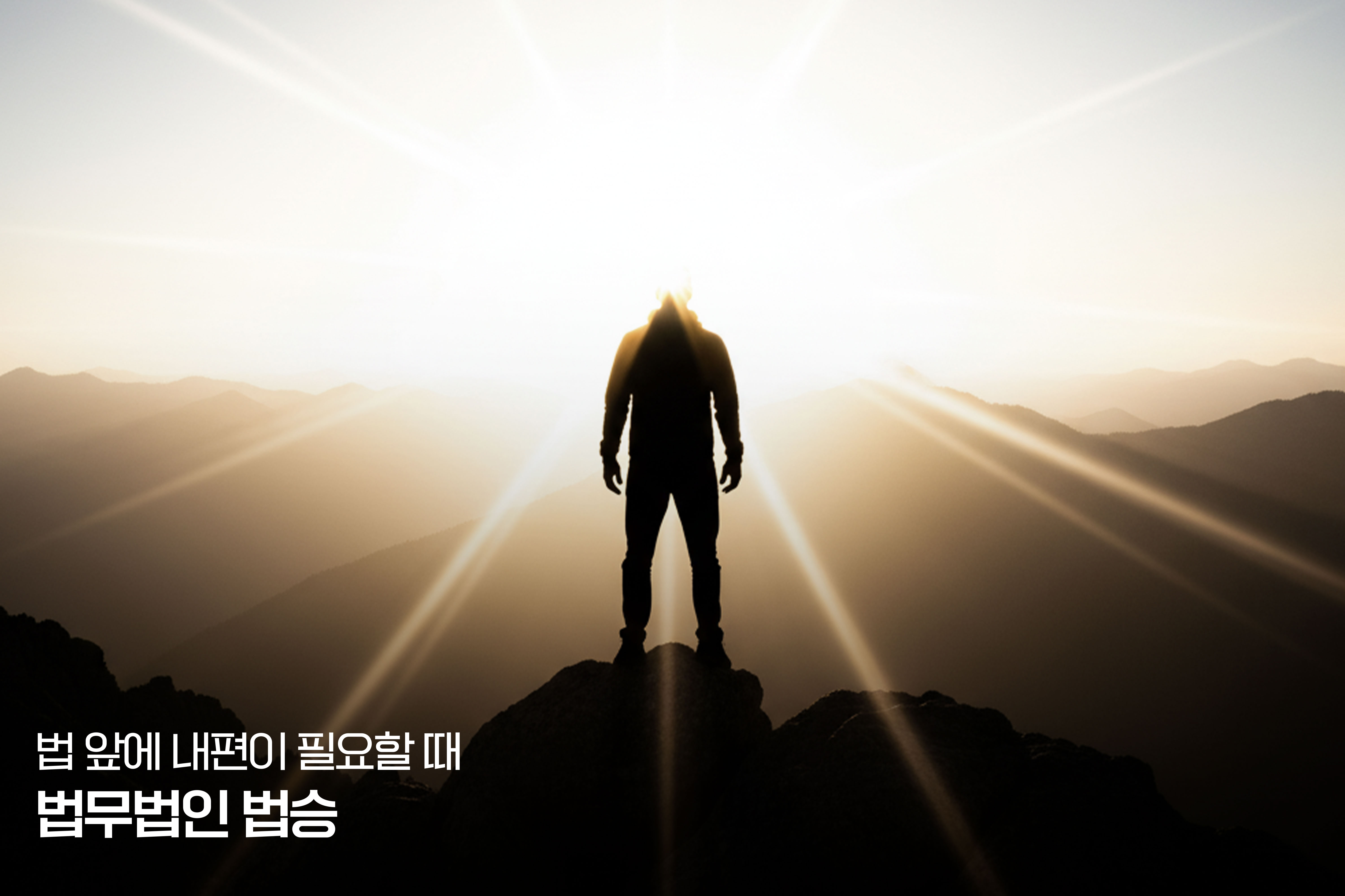 일반회생 절차, 채권자 동의 확보 전략 보고서 - (2) 채권자 유형별 심층 분석 및 맞춤형 협상 전략 이미지
