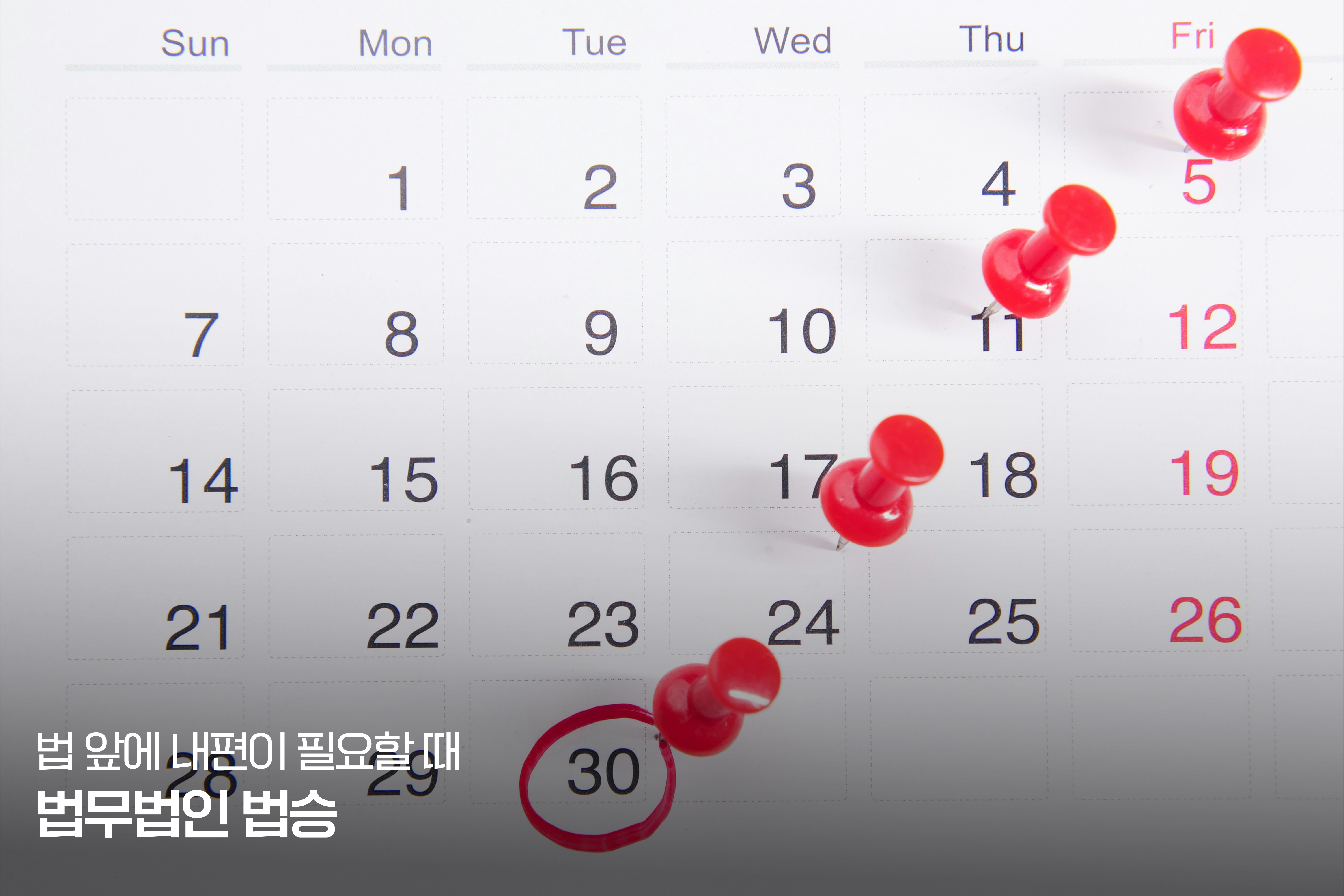 [상담실 리포트] "신용카드 결제일, 하루라도 연체하면 안 될까요?" - 법승이 풀어낸 다중채무 30대의 맞춤형 채무 다이어트 전략 이미지