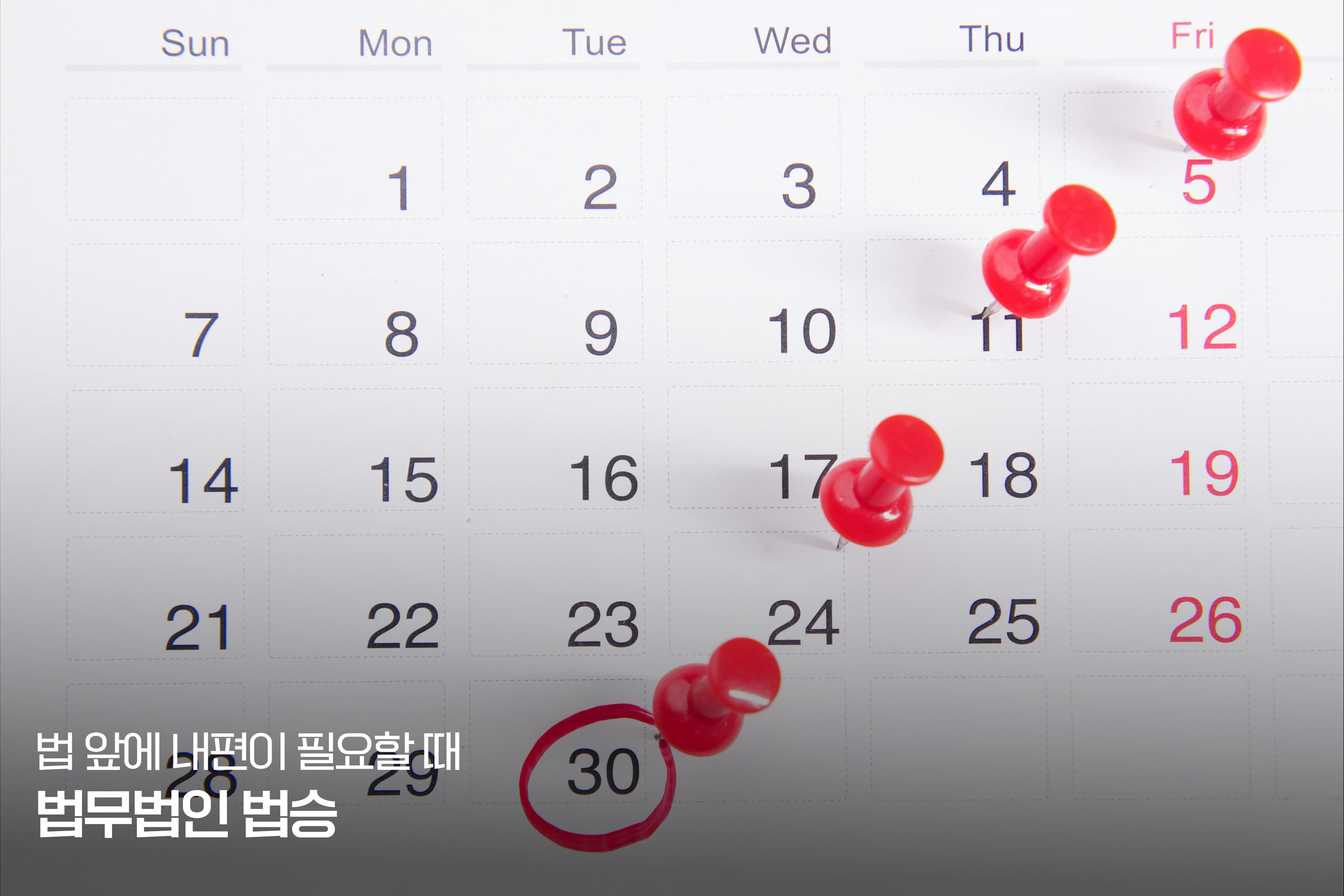 [상담실 리포트] "신용카드 결제일, 하루라도 연체하면 안 될까요?" - 법승이 풀어낸 다중채무 30대의 맞춤형 채무 다이어트 전략