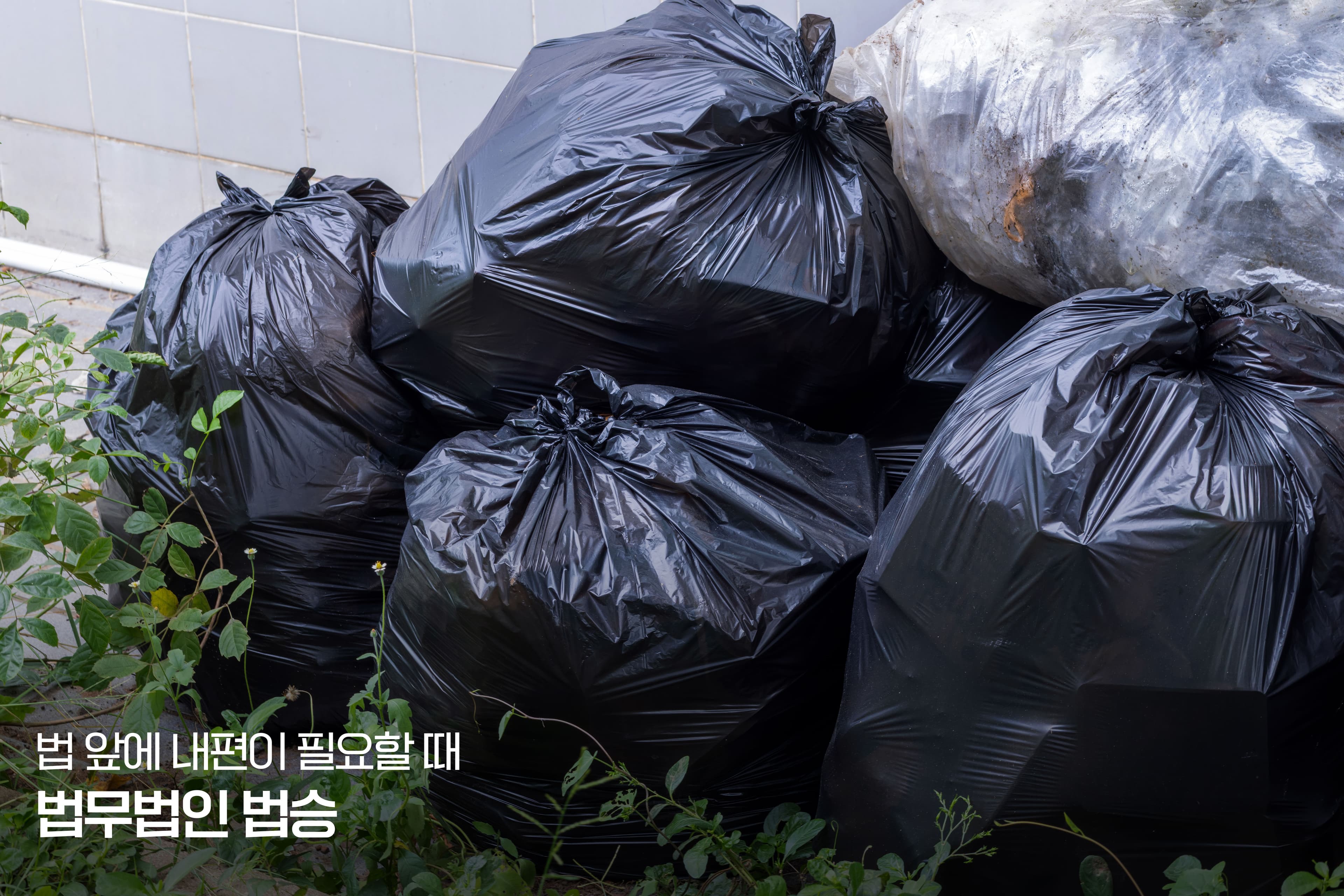2026년 1월, 수도권 생활폐기물 직매립 금지가 본격 시행되었습니다