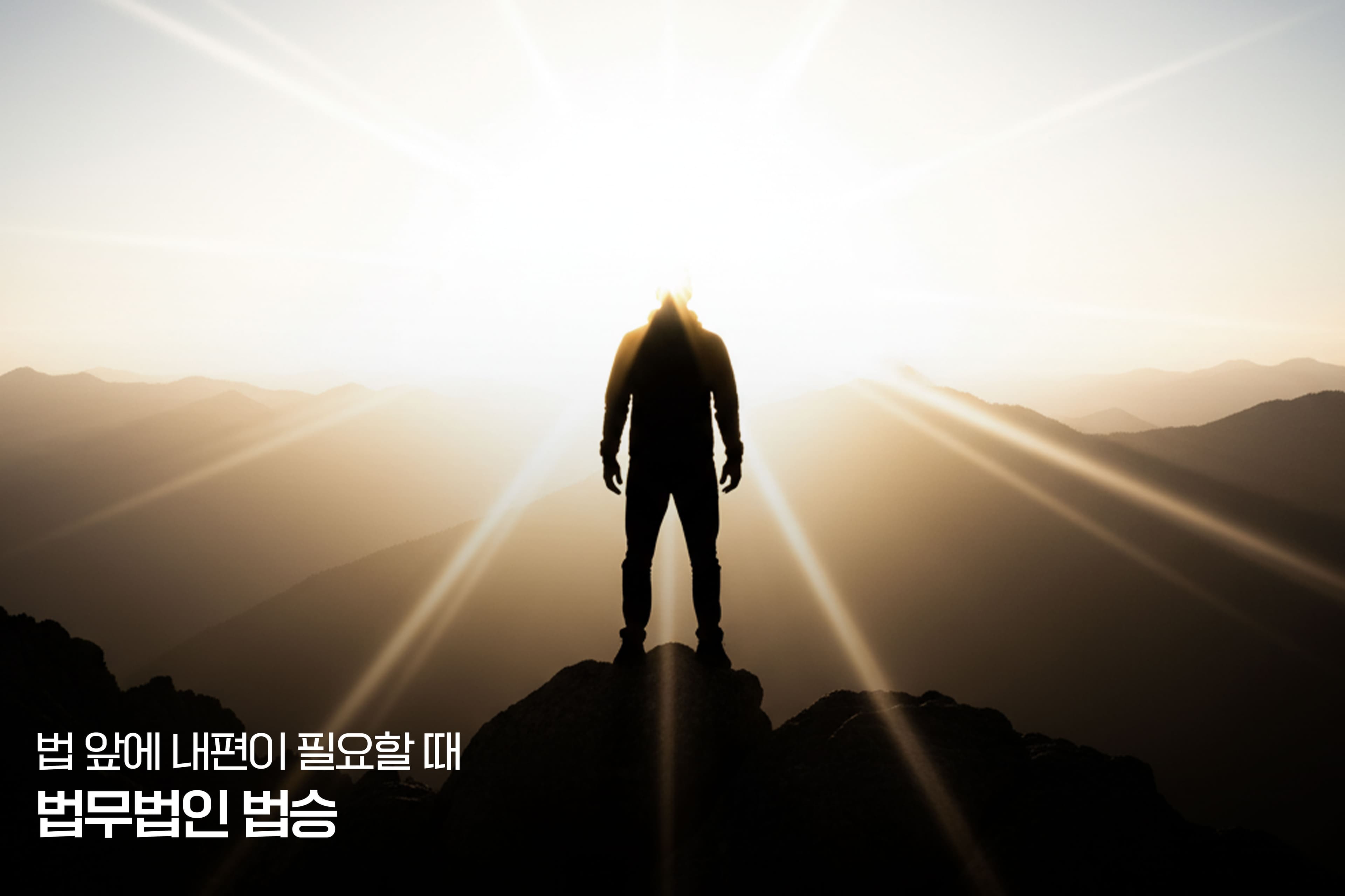 일반회생 절차, 채권자 동의 확보 전략 보고서 - (2) 채권자 유형별 심층 분석 및 맞춤형 협상 전략