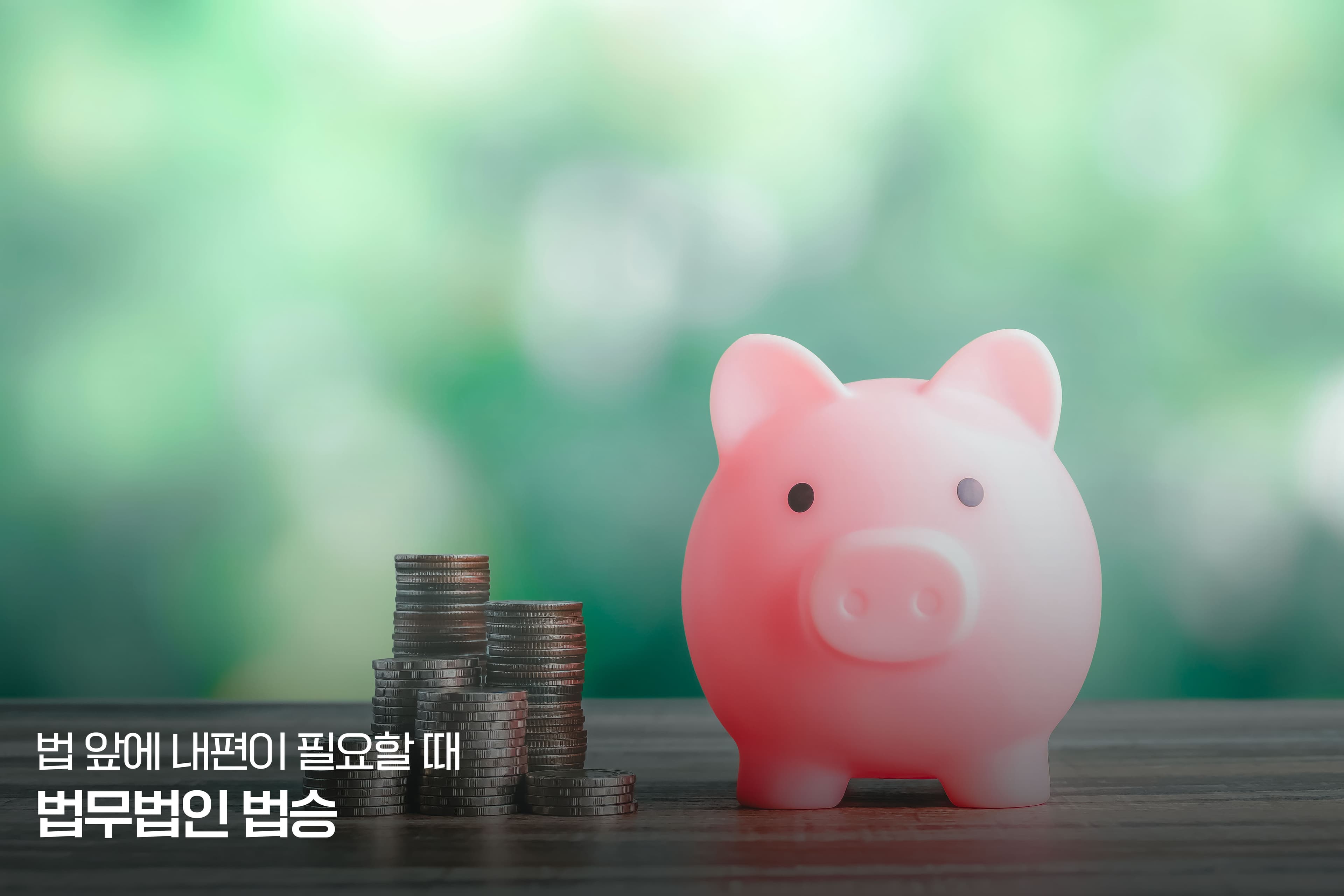 자영업자 파산면책 - 1. 파산신청 전 준비사항