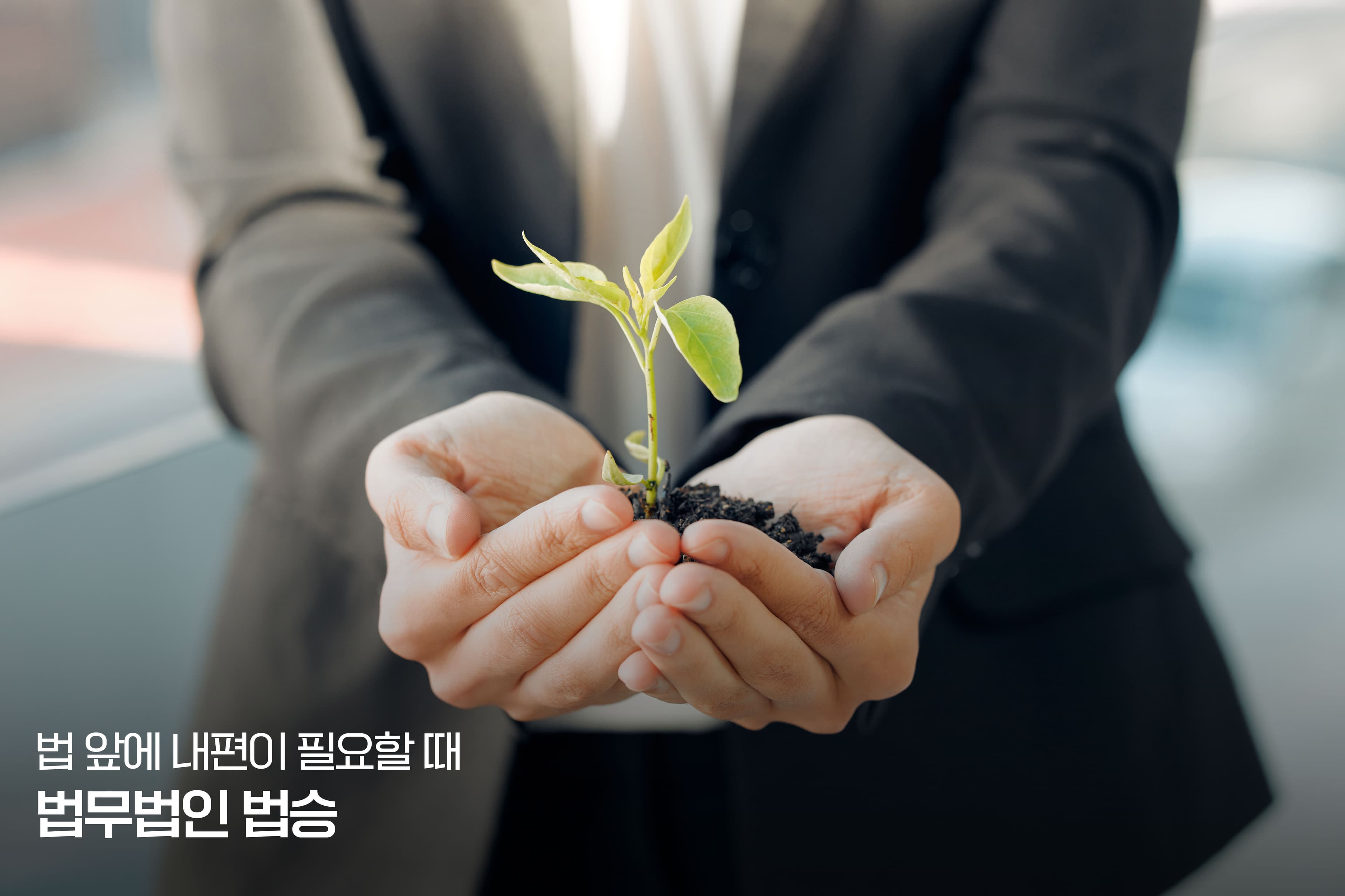 「 회생 시리즈 - 13편 」 소액·단발성 투자도 문제 될까– 서울회생법원과 춘천지방법원이 ‘행위의 성격’을 판단하는 방식